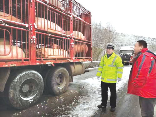 用热情浇筑平安——交警三大队三中队交通管理工作纪实